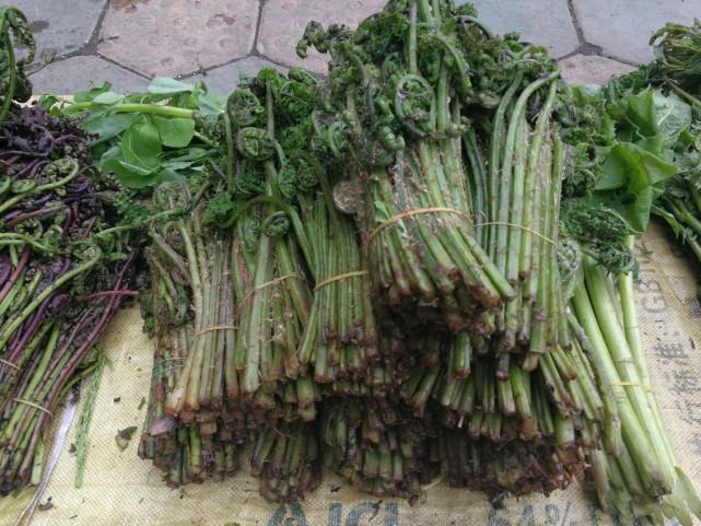 吉林,美丽土地绽放无限魅力!