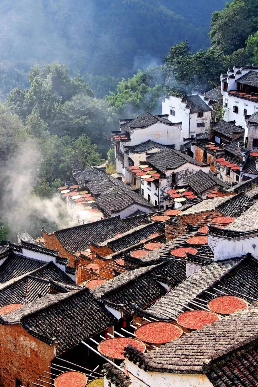 江西，红色记忆与绿色生态的和谐共鸣