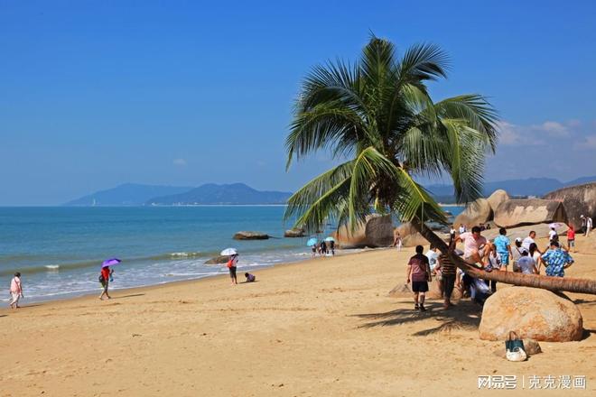 椰岛风情，友谊之花在海南绽放